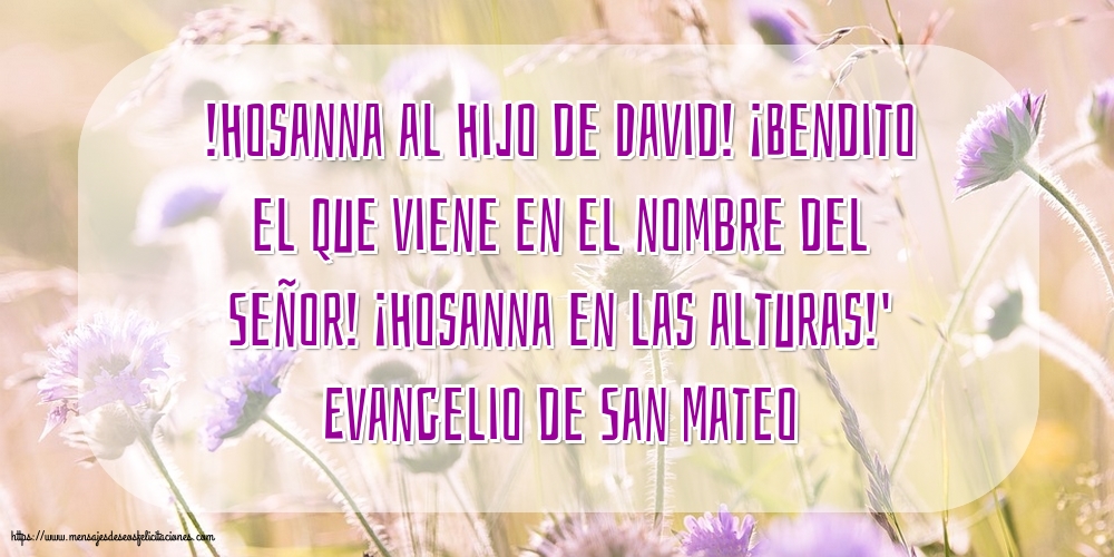 Evangelio de San Mateo