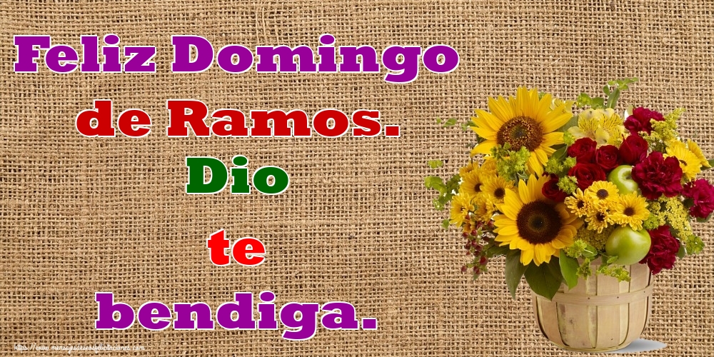 Feliz Domingo de Ramos. Dio te bendiga.