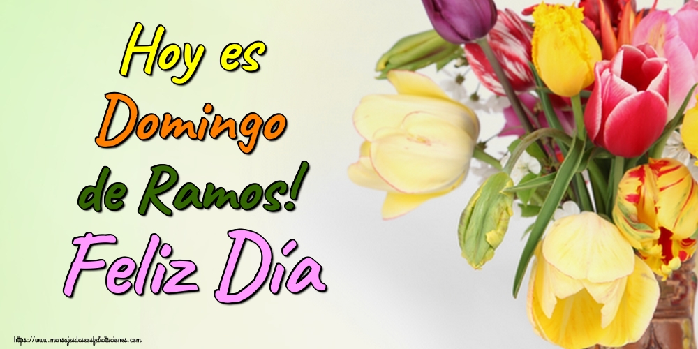 Hoy es Domingo de Ramos! Feliz Día