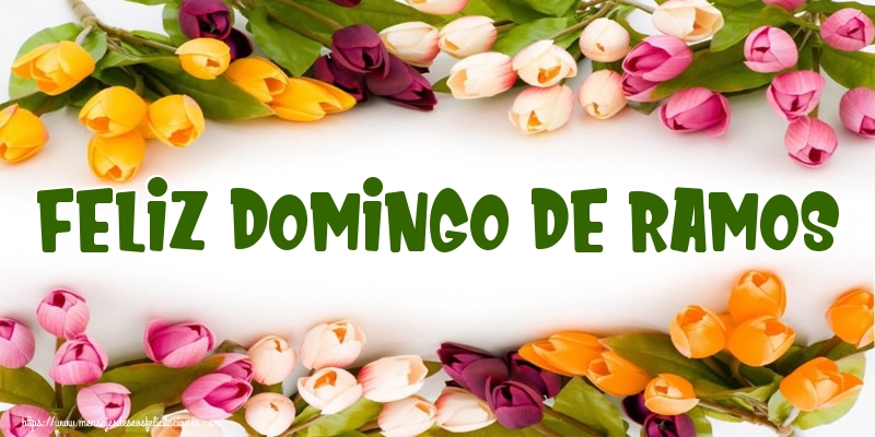 Feliz domingo de ramos