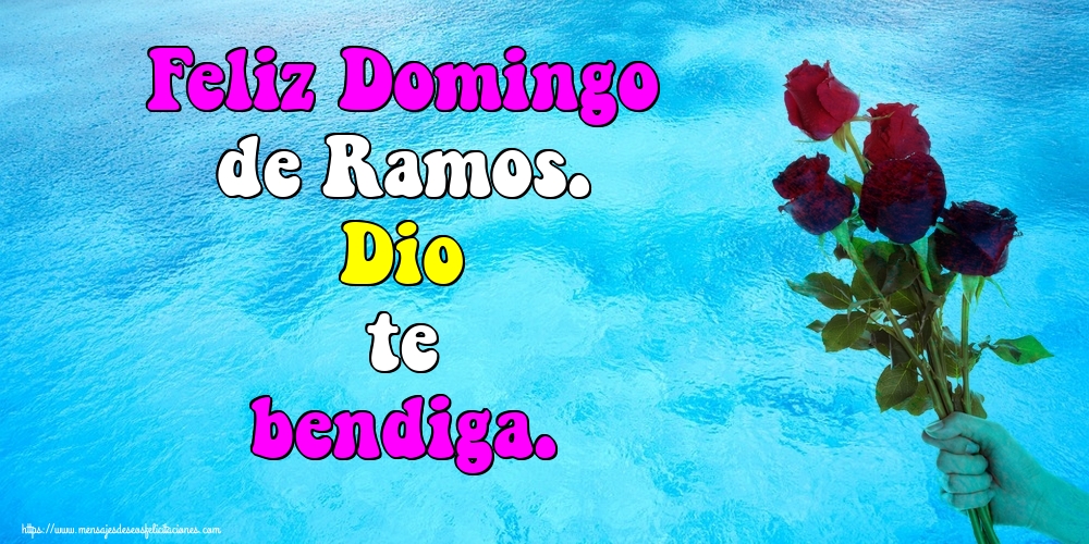 Feliz Domingo de Ramos. Dio te bendiga.