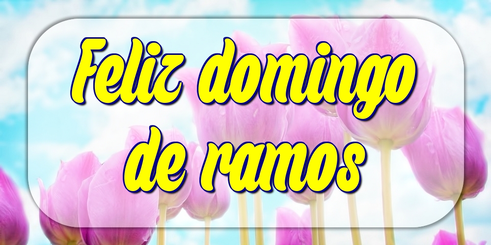 Feliz domingo de ramos