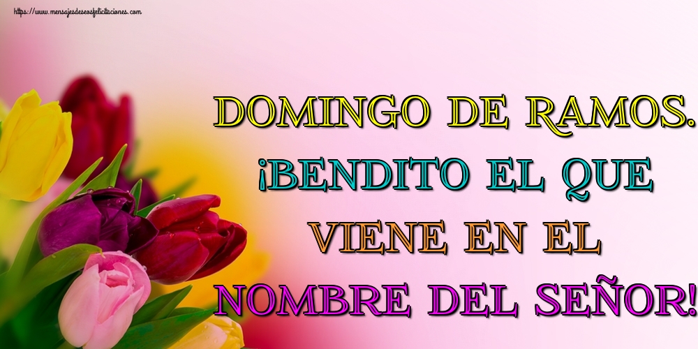 Domingo de Ramos. ¡Bendito el que viene en el Nombre del Señor!