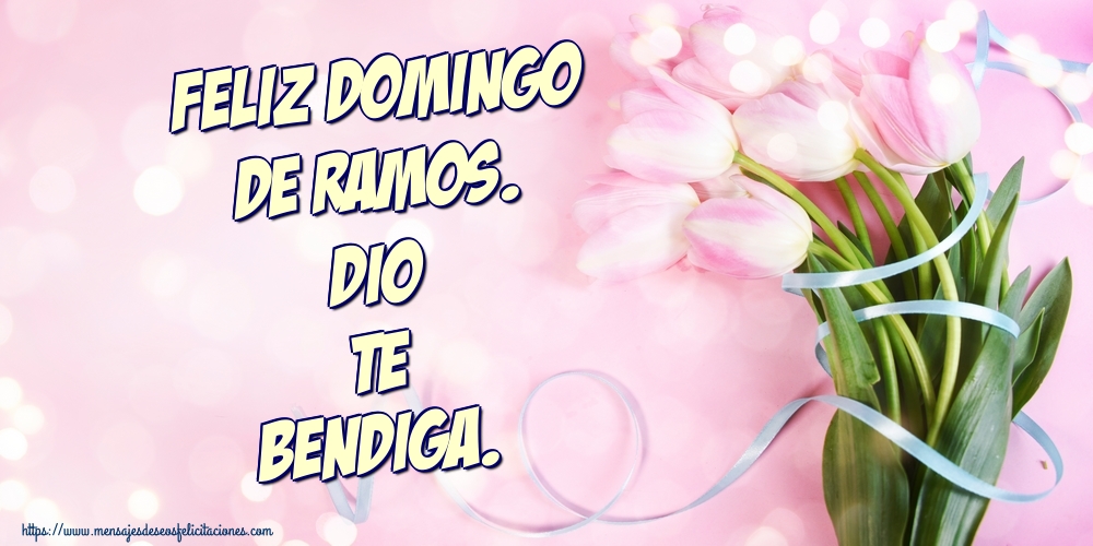 Feliz Domingo de Ramos. Dio te bendiga.