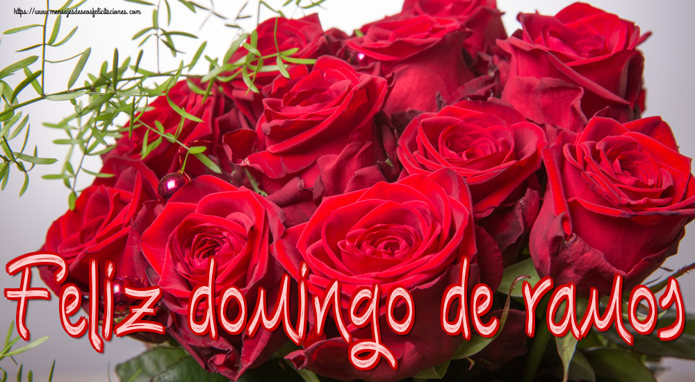 Feliz domingo de ramos