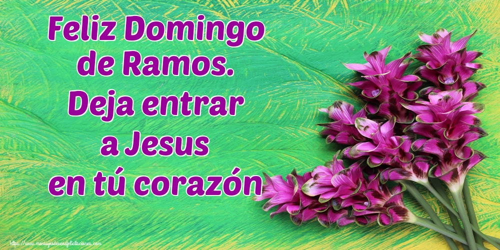 Feliz Domingo de Ramos. Deja entrar a Jesus en tú corazón
