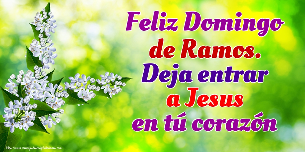 Feliz Domingo de Ramos. Deja entrar a Jesus en tú corazón