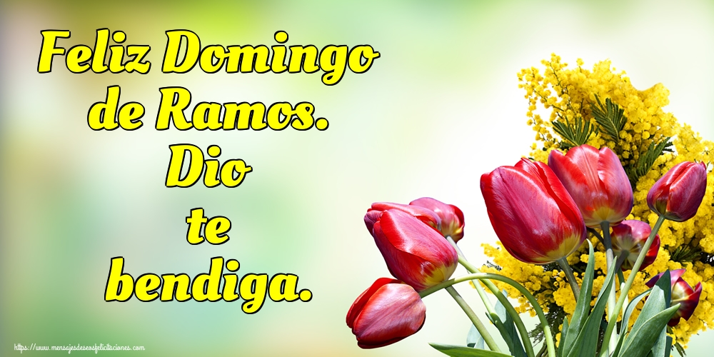Feliz Domingo de Ramos. Dio te bendiga.
