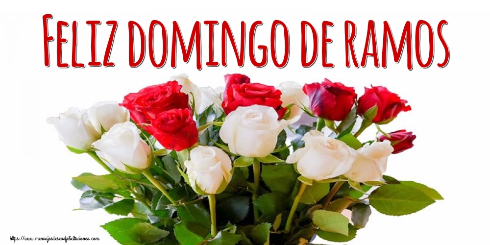 Feliz domingo de ramos
