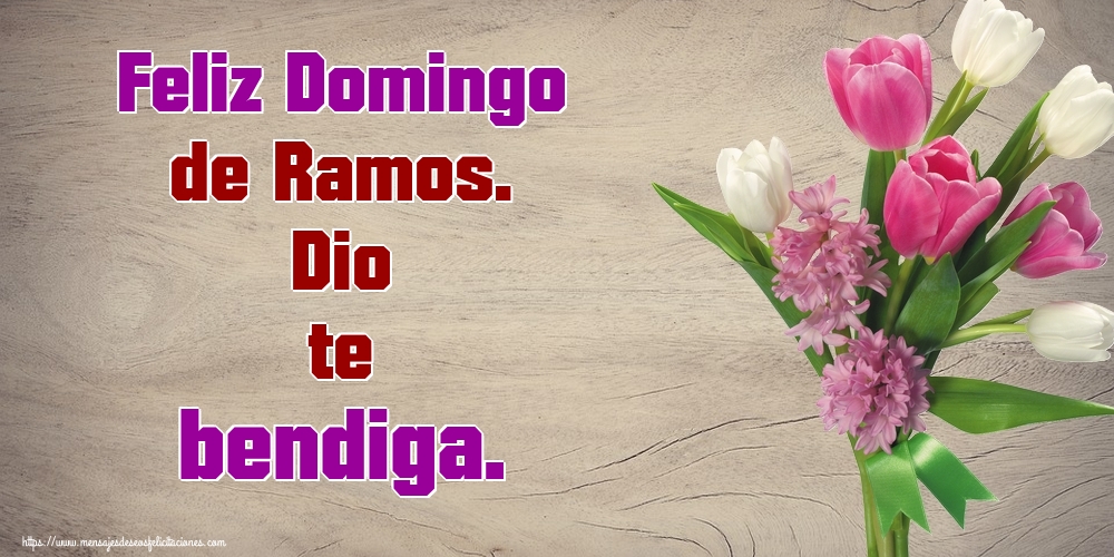Feliz Domingo de Ramos. Dio te bendiga.