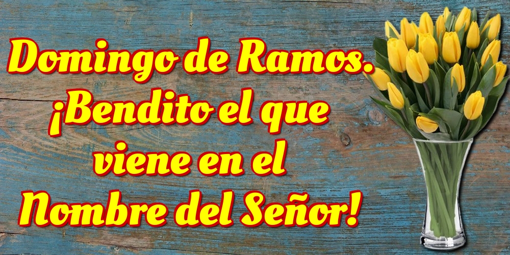 Domingo de Ramos. ¡Bendito el que viene en el Nombre del Señor!