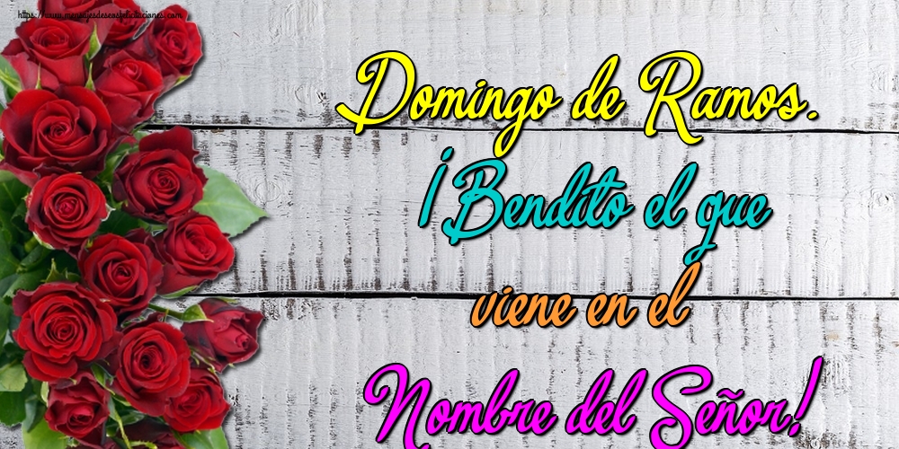 Domingo de Ramos. ¡Bendito el que viene en el Nombre del Señor!
