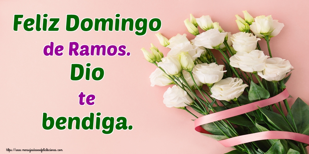 Feliz Domingo de Ramos. Dio te bendiga.