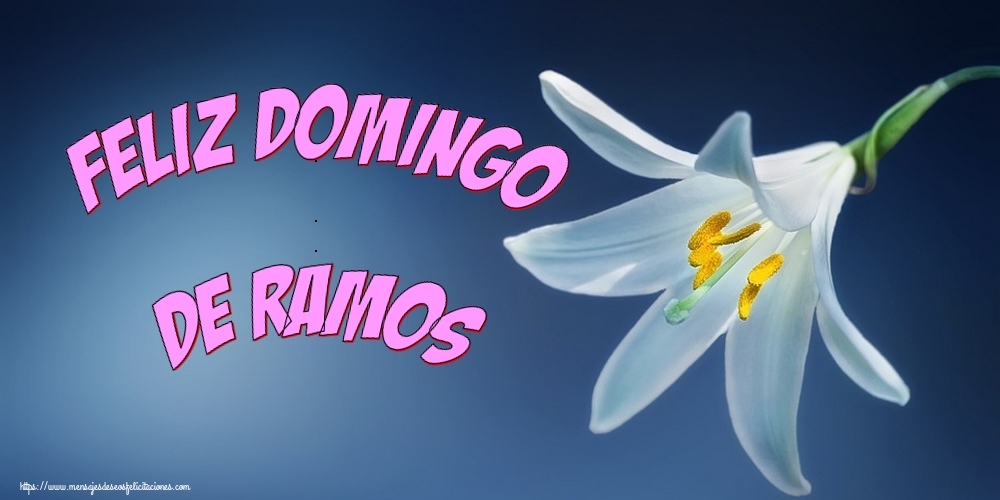 Feliz domingo de ramos