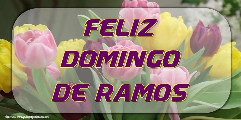 Feliz domingo de ramos
