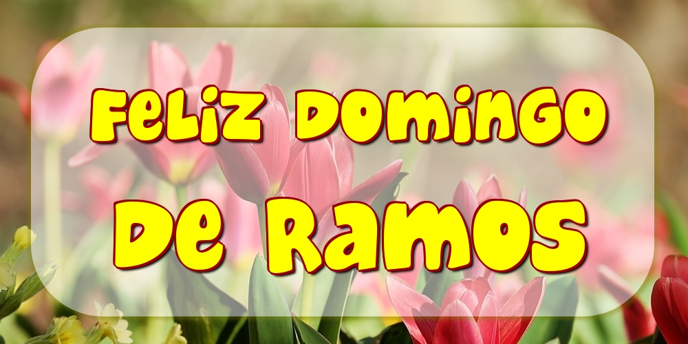 Feliz domingo de ramos