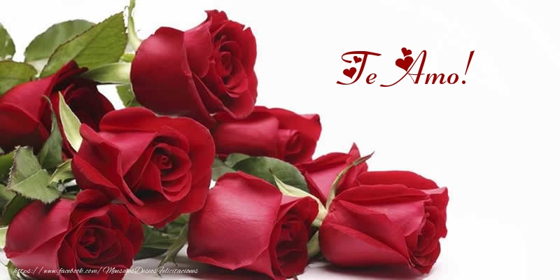 Felicitaciones de amor - Te Amo! - mensajesdeseosfelicitaciones.com