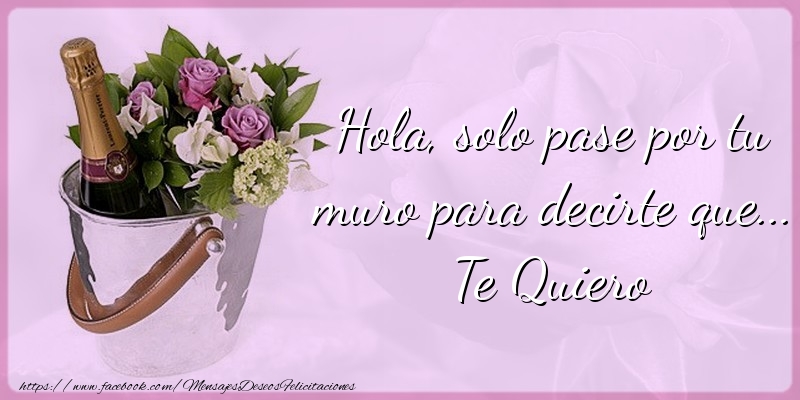 Hola, solo pase por tu muro para decirte que... Te Quiero