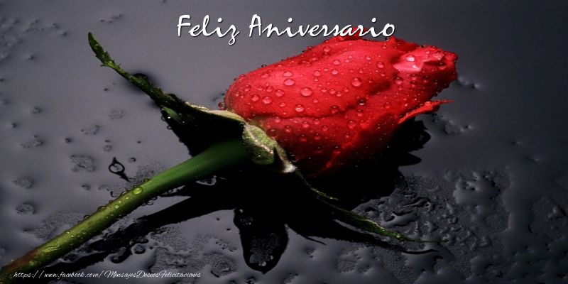 Feliz Aniversario