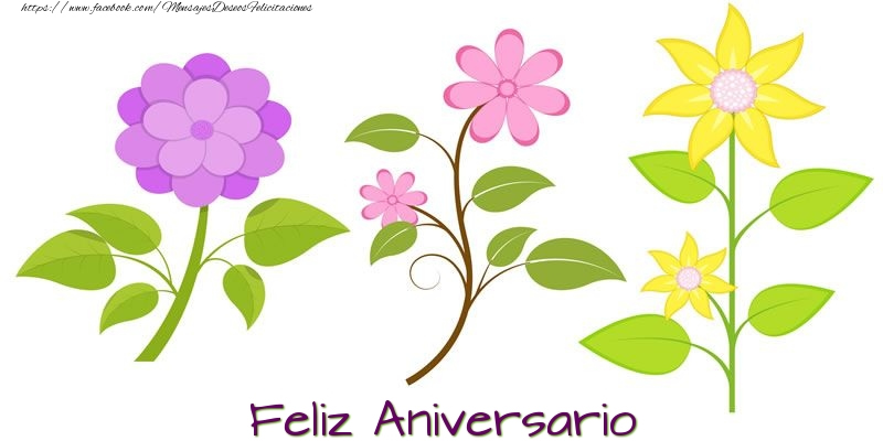 Feliz Aniversario