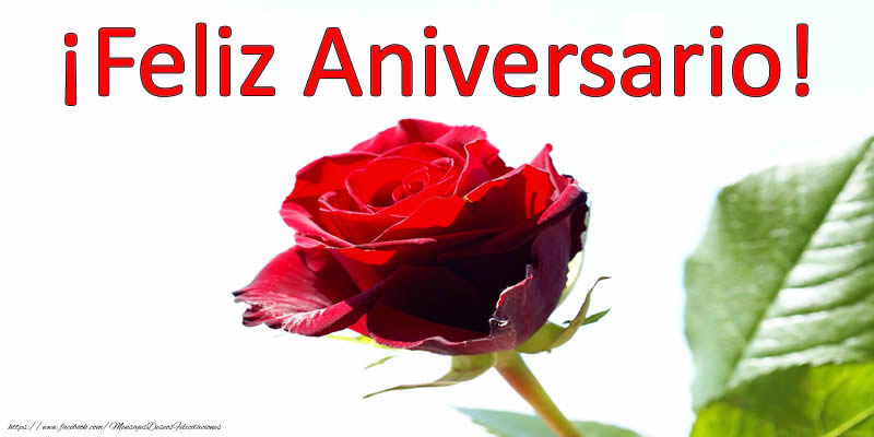 ¡Feliz Aniversario!