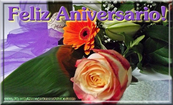 Feliz Aniversario!