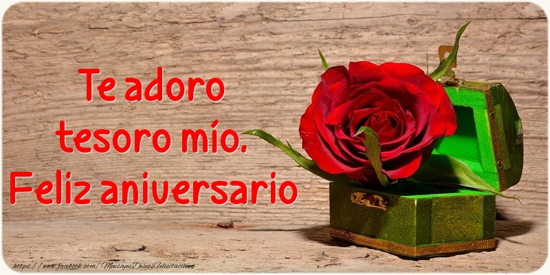 Te adoro tesoro mío. Feliz aniversario
