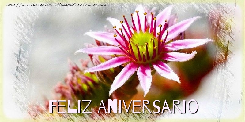 Feliz Aniversario