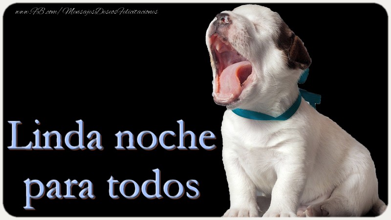 Linda noche para todos