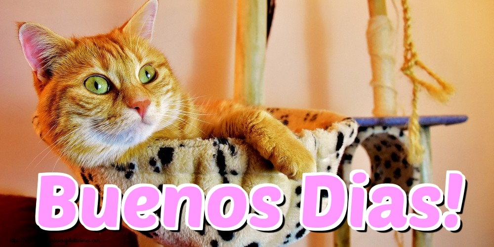 Felicitaciones de buenos días - Buenos Dias! - mensajesdeseosfelicitaciones.com
