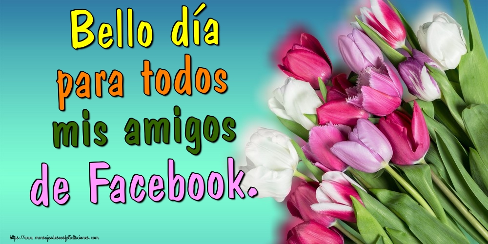 Felicitaciones de buenos días - Bello día para todos mis amigos de Facebook. - mensajesdeseosfelicitaciones.com