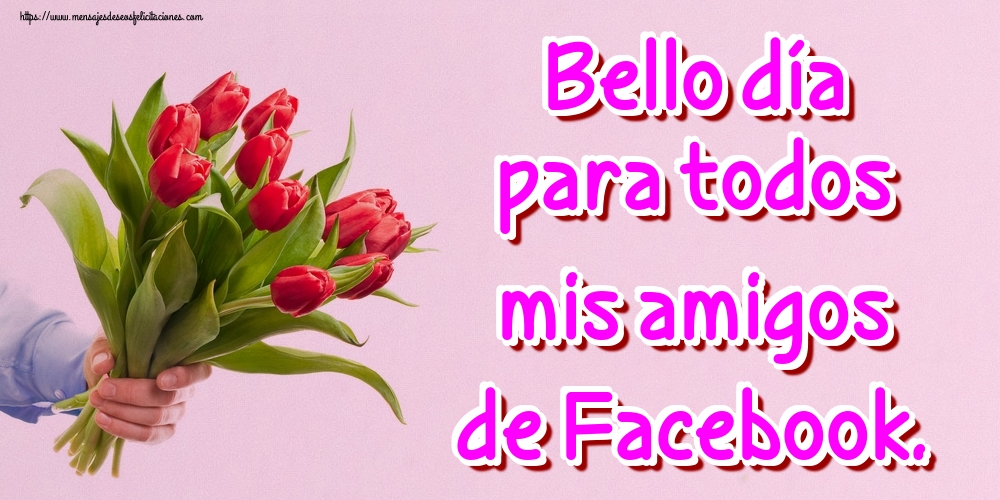 Felicitaciones de buenos días - Bello día para todos mis amigos de Facebook. - mensajesdeseosfelicitaciones.com