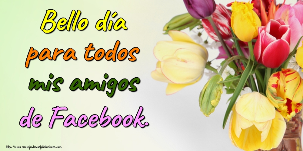 Bello día para todos mis amigos de Facebook.