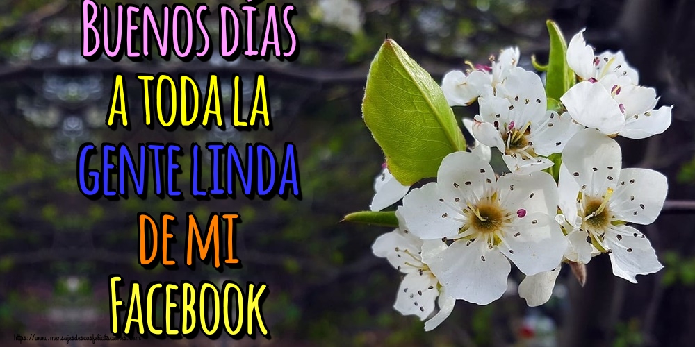 Felicitaciones de buenos días - Buenos días a toda la gente linda de mi Facebook - mensajesdeseosfelicitaciones.com