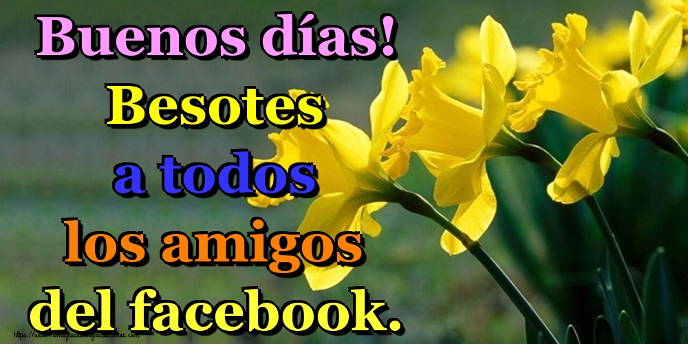 Felicitaciones de buenos días - Buenos días! Besotes a todos los amigos del facebook. - mensajesdeseosfelicitaciones.com