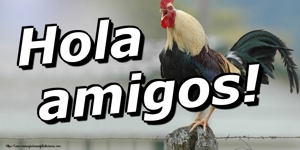 Hola amigos!