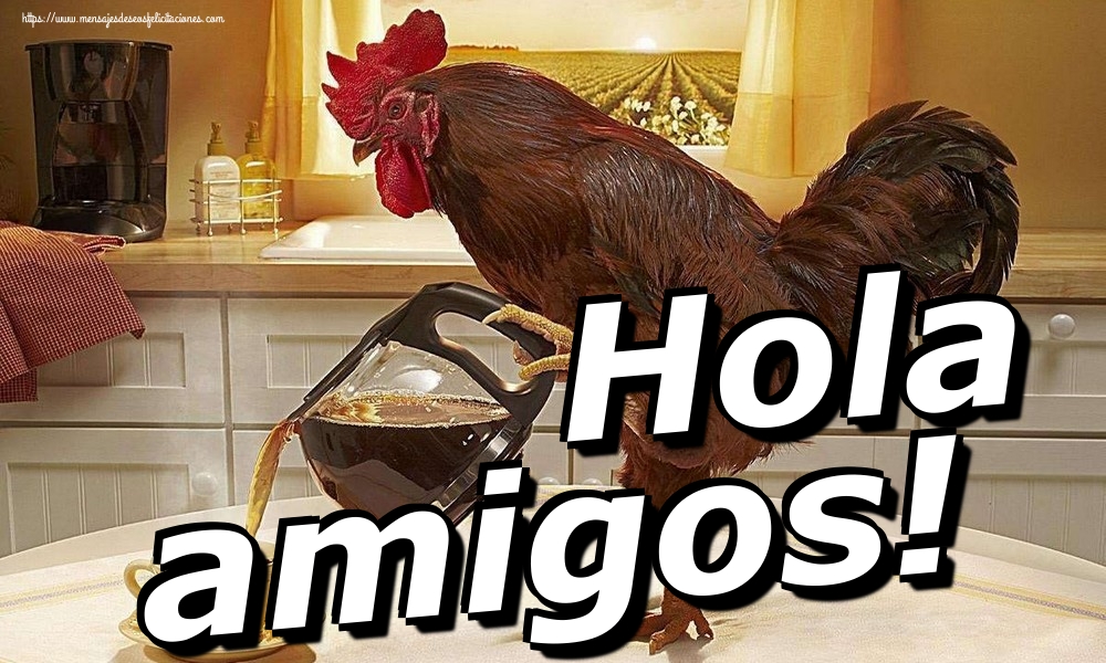 Hola amigos!