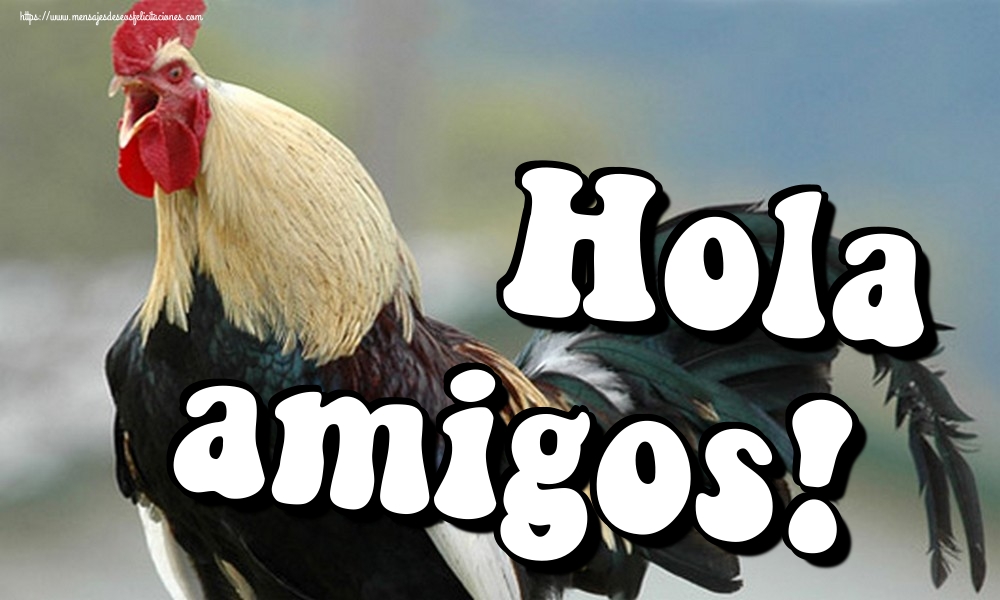 Hola amigos!