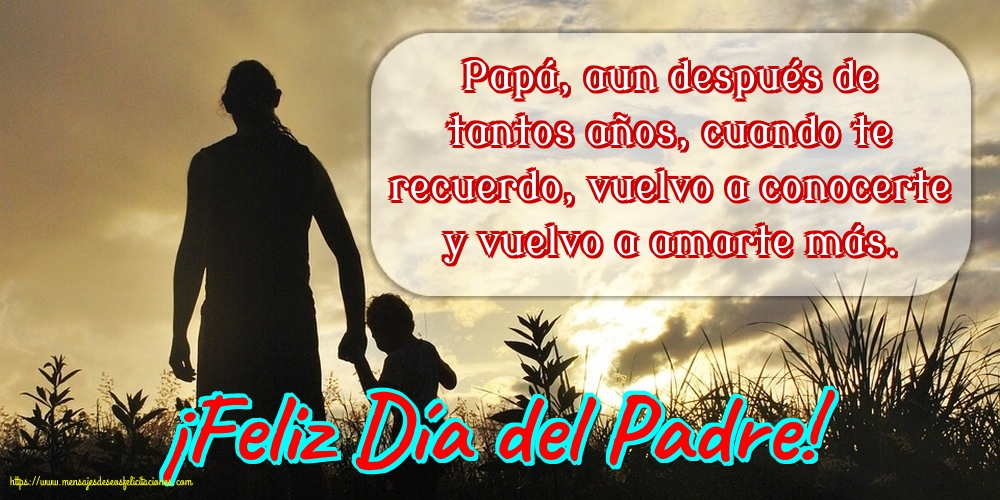 ¡Feliz Día del Padre!