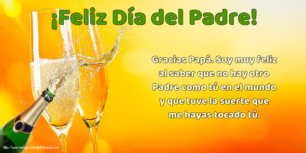 ¡Feliz Día del Padre! - Gracias Papá