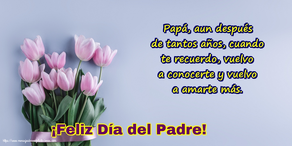 ¡Feliz Día del Padre!