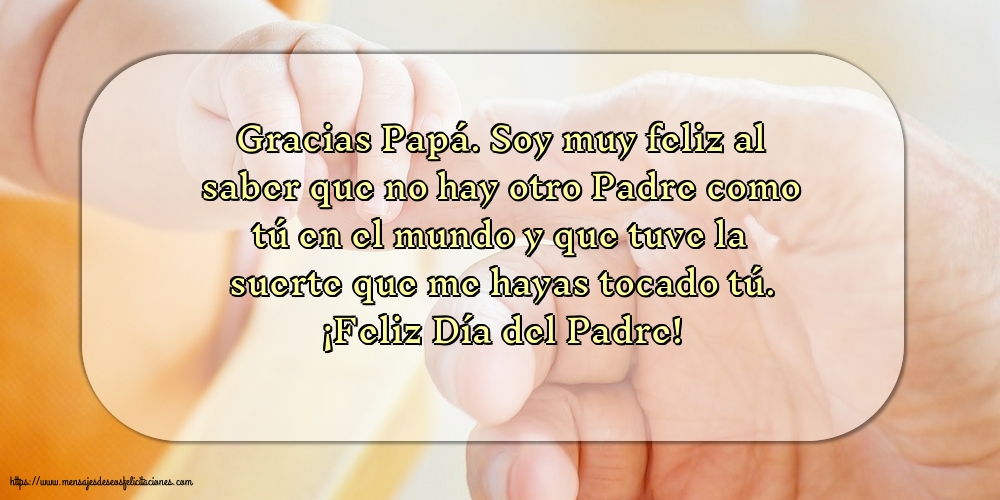 ¡Feliz Día del Padre! - Gracias Papá