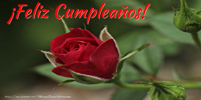 ¡Feliz Cumpleaños!