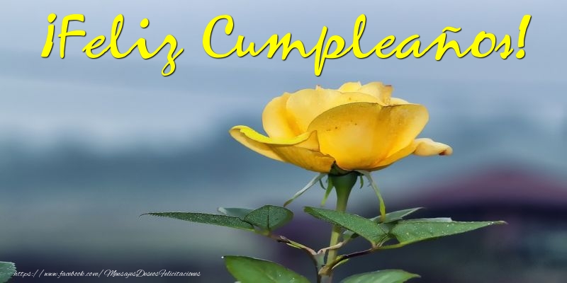 ¡Feliz Cumpleaños!