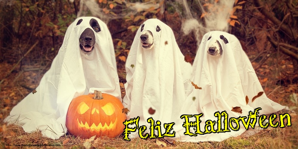 Feliz Halloween