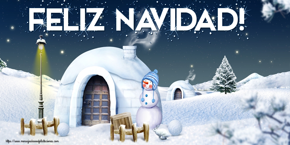 Feliz Navidad!