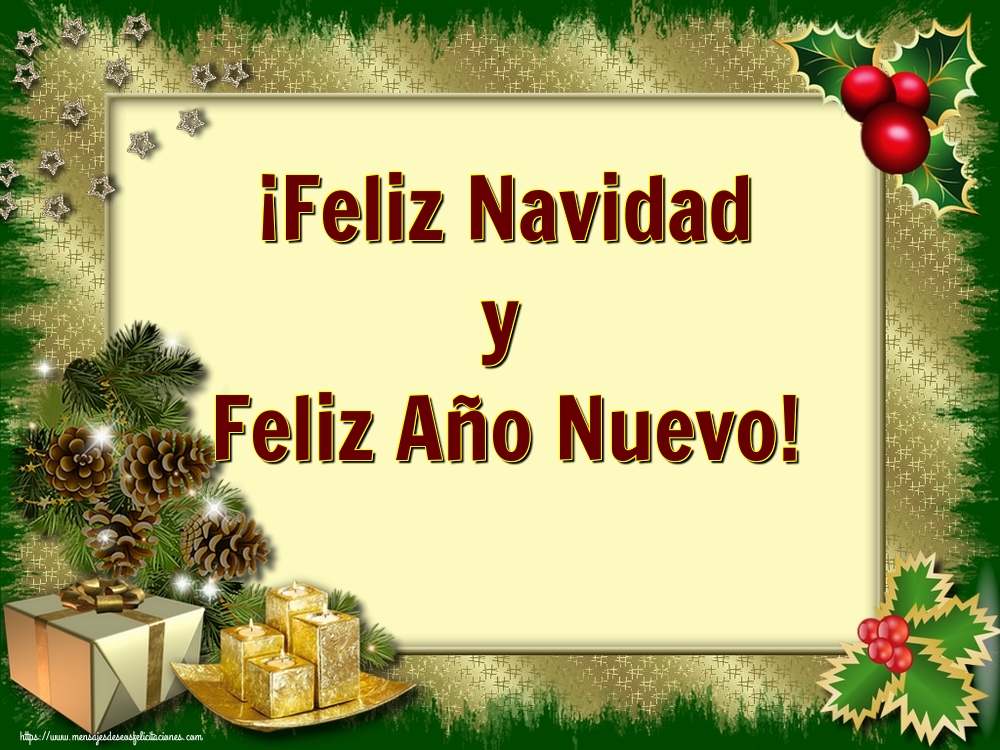 ¡Feliz Navidad y Feliz Año Nuevo!