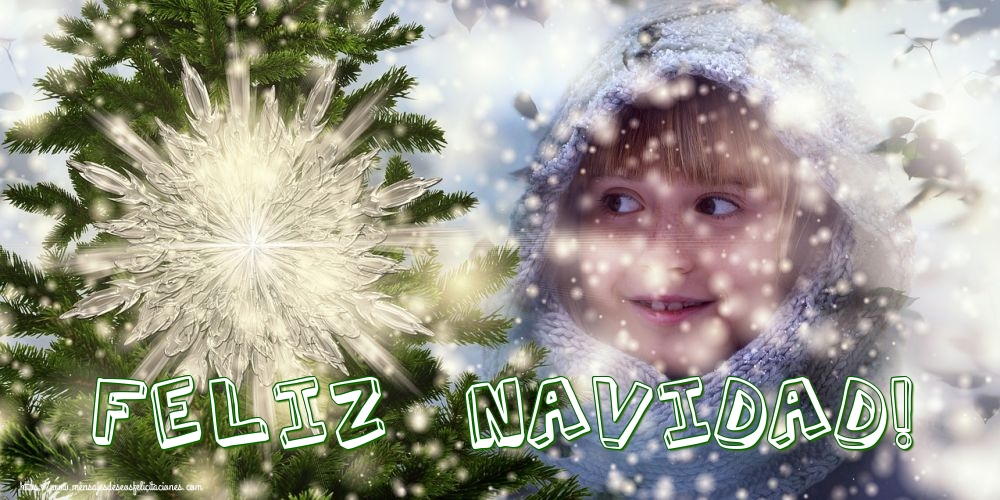 Feliz Navidad!