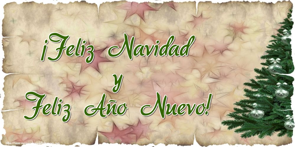 ¡Feliz Navidad y Feliz Año Nuevo!