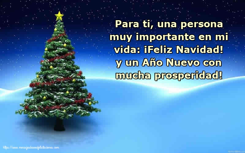 ¡Feliz Navidad! y un Año Nuevo con mucha prosperidad!